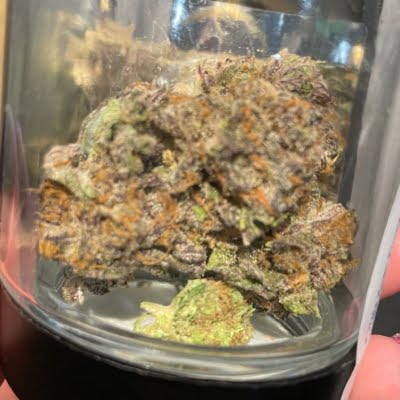 Purple Kush