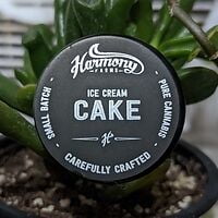 Ice Cream Cake