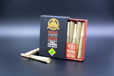 Sativa DS JP