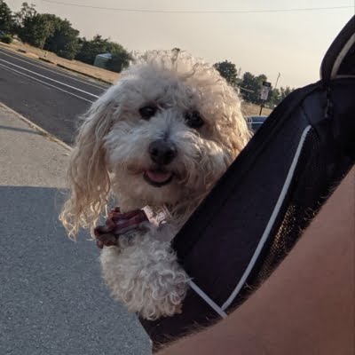 Travel Coco